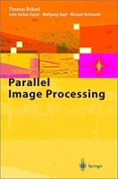 Parallel Image Processing артикул 2507e.